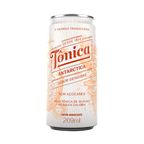 agua tonica sabor gengibre sem acucar antarctica lata 269ml