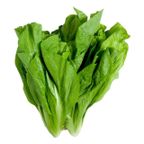 almeirao organica vida un