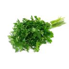 salsa vida organica un