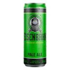 cerveja eisenbahn pale ale 350ml lata