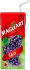 suco nectar sabor uva maguary caixa 200ml