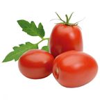 tomate italiano kg