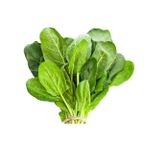 espinafre rodolfo un