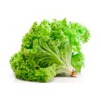 alface miguel pilon un