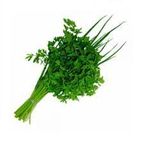 cheiro verde miguel pilon un