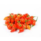 pimenta biquinho bandeja 100g