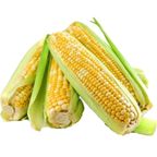 milho verde in natura kg