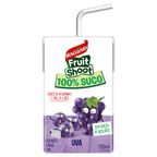 suco uva maguary fruit shoot caixa 150ml